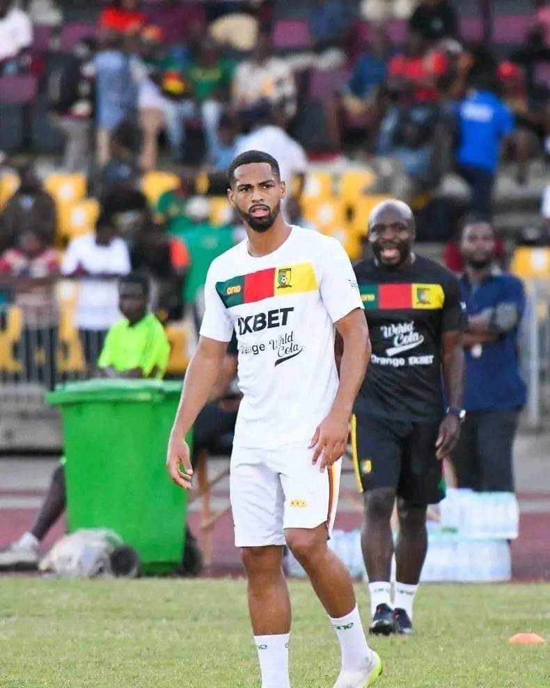 LES LIONS INDOMPTABLES