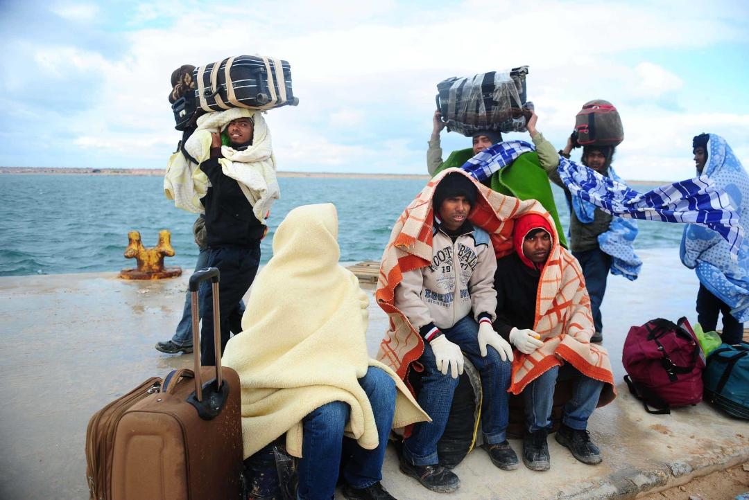 IMMIGRATION