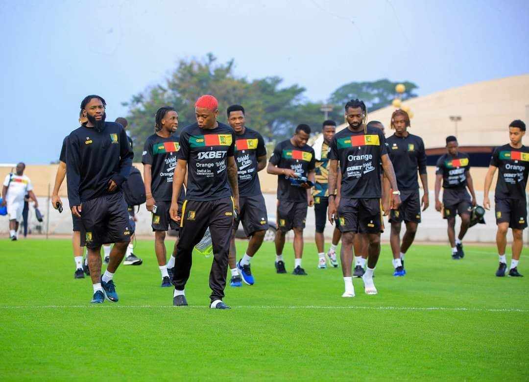 LES LIONS INDOMPTABLES ELIMINES
