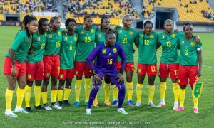 LES LIONNES INDOMPTABLES